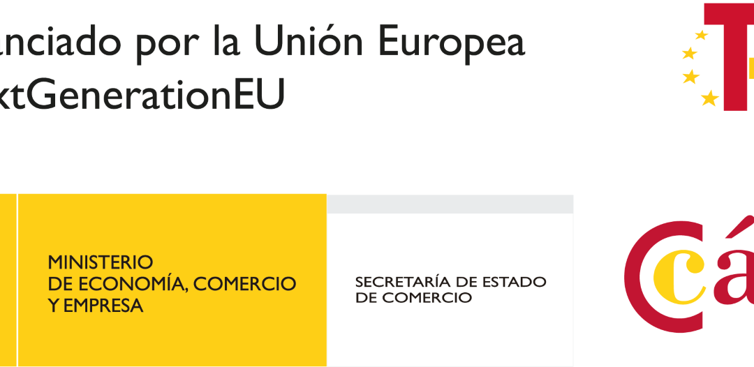 MENTORING Y APOYO A LA INTERNACIONALIZACIÓN DE LA PYME